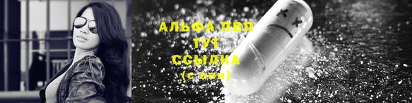 шишки Майский