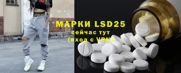 шишки Майский