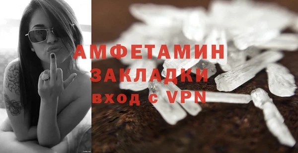 шишки Майский